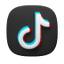 TikTok icon