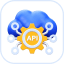 API Access